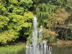 -共青国家森林公园-售票处