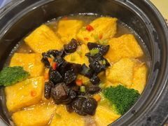 -金龙寨(龙城路店)