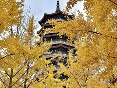 -金城公园