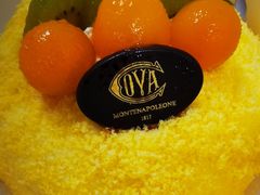 -COVA(新天地Xintiandi店)