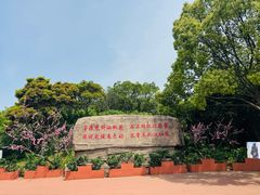 -桃花岛风景旅游区