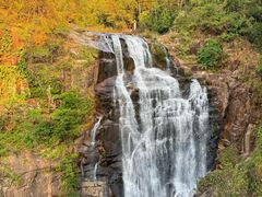 -海南热带雨林国家公园吊罗山景区