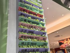 -SaladJohn沙拉匠(凯德1818店)