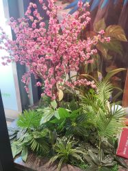 -云南玛莉亚医院