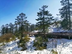 -瓦屋山景区