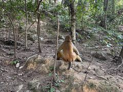 -黔灵山公园
