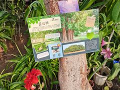 -国家植物园南园