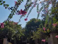 -古茗(临安天柱街店)