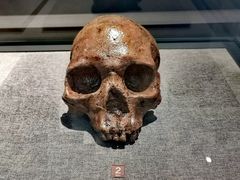 -昆明市博物馆(昆明市文物保护和考古研究中心)