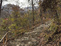 -北京上方山国家森林公园