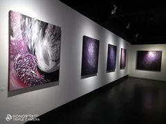 -成都许燎源现代设计艺术博物馆