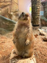 -Zoolung Zoolung动物主题公园(海信广场店)