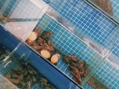 水产区-宾朋海鲜特色美食餐厅·纯手工鲅鱼水饺(兴海路店)