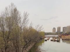 -伊犁河风景区
