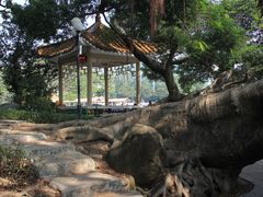 -东山湖公园