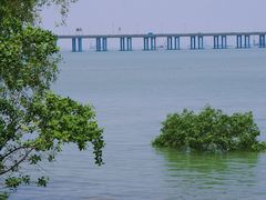 -宝安西湾红树林湿地公园