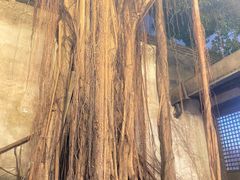 -文儒九号·闽菜馆(三坊七巷店)