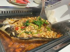 -黑猫馋纸包鱼(阳光店)
