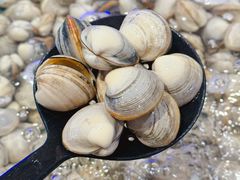 -初色海鲜自助(万丰路店)