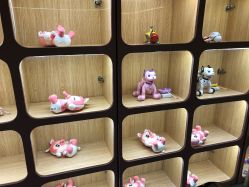 -泡泡米POPOME益智乐园(洪殿花园旗舰店)