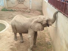 -西霞口神雕山野生动物世界
