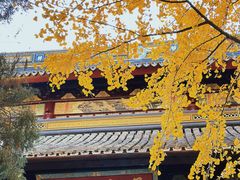 -西园戒幢律寺