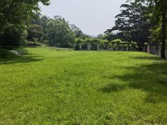-青岛德国总督楼旧址博物馆