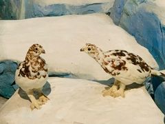 -陕西自然博物馆