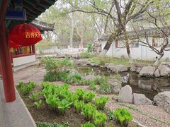 -百脉泉景区