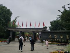 -成飞公园