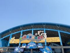 -泉城欧乐堡海洋极地世界
