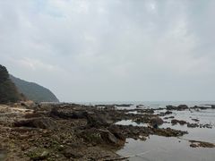 -西涌国际滨海旅游区