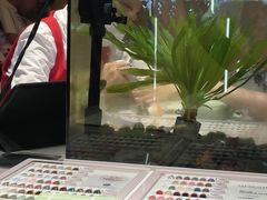 -海底捞火锅(吾悦广场店)