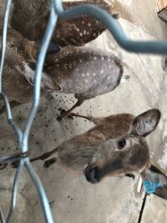 -萌宠亲子动物乐园(槐房万达店)