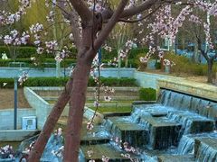 -东坝千亩湖公园