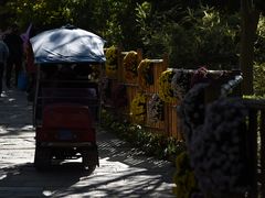 -共青国家森林公园-停车场