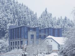 -龙苍沟森林公园