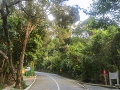 -梧桐山风景名胜区