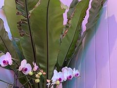 -北平花园·MUA摩造汉堡·北平咖啡(南锣鼓巷胡同店)