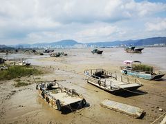 -北岐滩涂