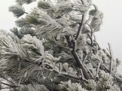 -阳台山自然风景区