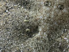 -鹿儿岛水族馆