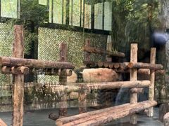 -上海野生动物园
