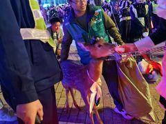 -成都欢乐谷