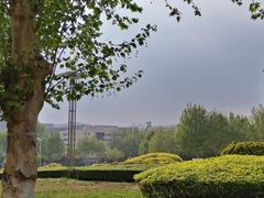 -山东大学(软件园校区)