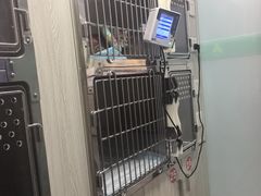 -半岛宠物医院24小时(科华中路店)
