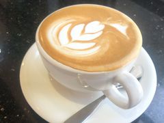 -Torch Coffee 炬点咖啡