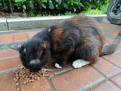 -来伊份(双桂坊店)