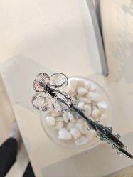 -烬·烧玻璃diy灯工玻璃艺术·银饰工作室