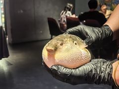 -肆月河豚·新淮扬菜·烤鸭(中关村店)
